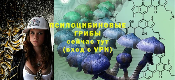 мескалин Алексин